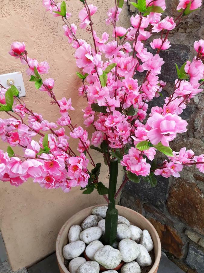 Holiday Home Casa Stefi Piazzogna Екстериор снимка